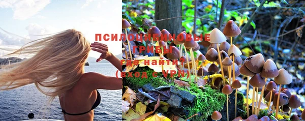 ALPHA PVP Бородино